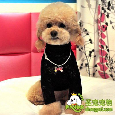 ���Ȯ����