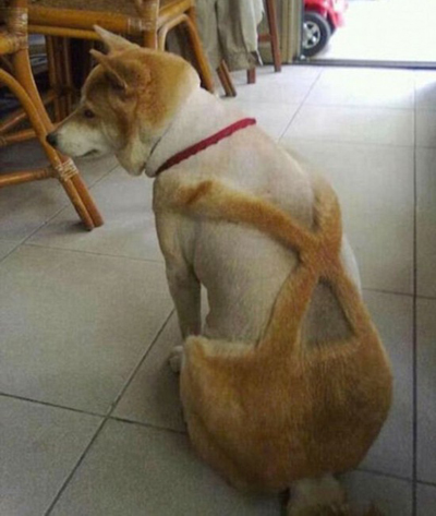  �������㡱��