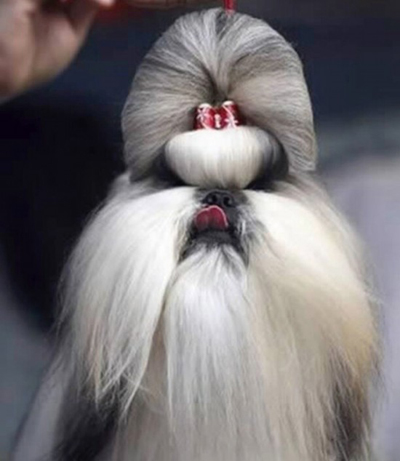  �����ǡ���