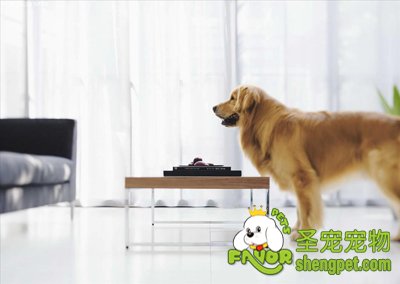 �����һ������ĳ�������ȥ�淶�������Ϊ