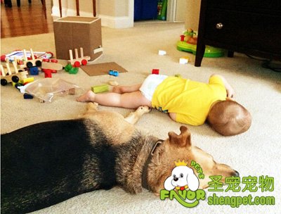 ��������ﹷ��������