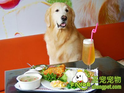 ����Ҳ�п�Я��������Ĳ��� ������ƫ����