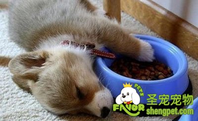 �Լ����ĳ���ʳƷ�ͳ��������ĸ�����