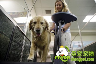 ����Ҳ���� �����ֳ������Ӫ