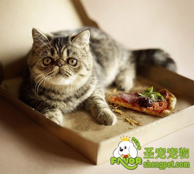 Ů������һ���³���ʳƷ