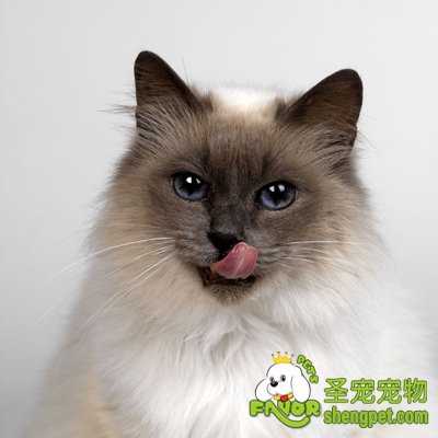 ���ﵽ���ܲ��ܳ���