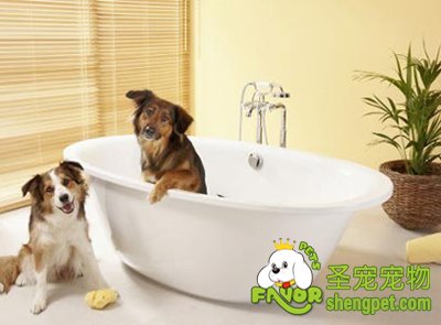 ����ϴ��