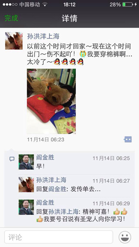 上海长宁宠物店图2