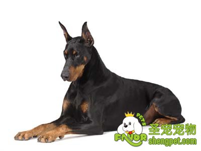 ʲôʱ������������������