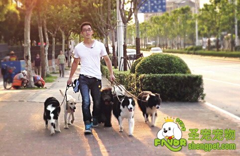 80Сഴҵ ԰ְҵѱʦ