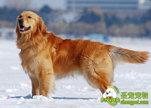 ���������ϴ���ע������