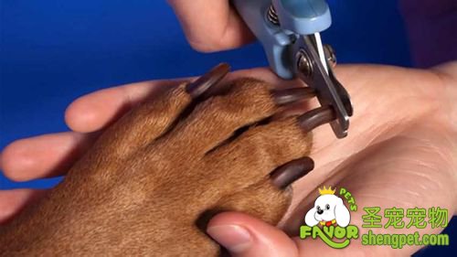 �Լ���������ָ�׵ķ�����ע������