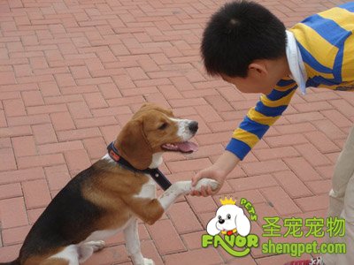 ���ﻥ����Ϸ�ô���