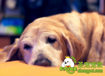 ���������ڵ���������