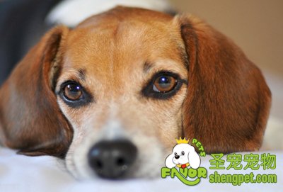 �����жϹ���������