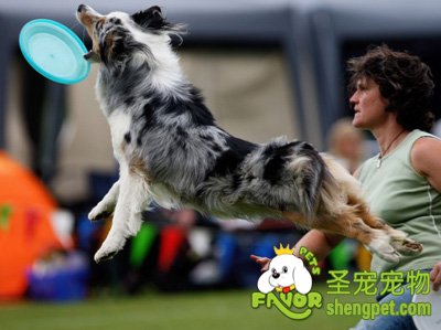 ����ѵ�������ķ���