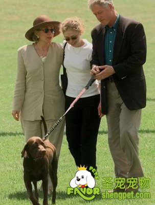 ǰͳȶֶټҵĳﹷ͵ϡ