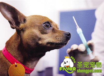 С��Ϊʲô��Ҫ�������أ�