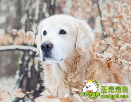 �����ؽ��׵ļ��������