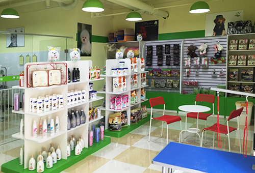 ʥ��������̩���ջ��ǳ���������