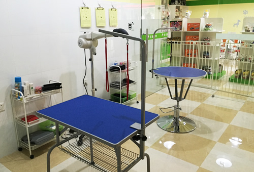 ʥ��������̩���ջ��ǳ���������