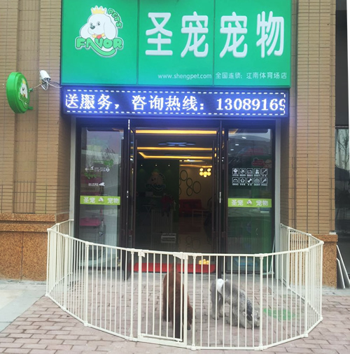 ʥ�輪���к��������������