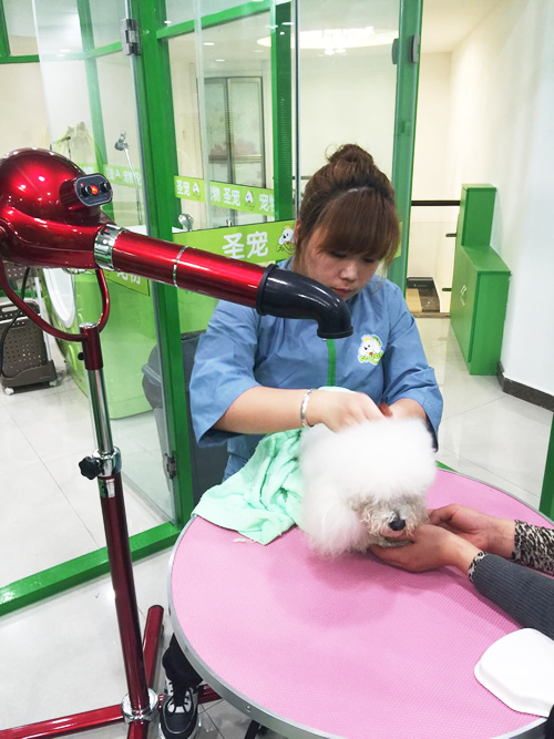 ʥ�輪���к��������������