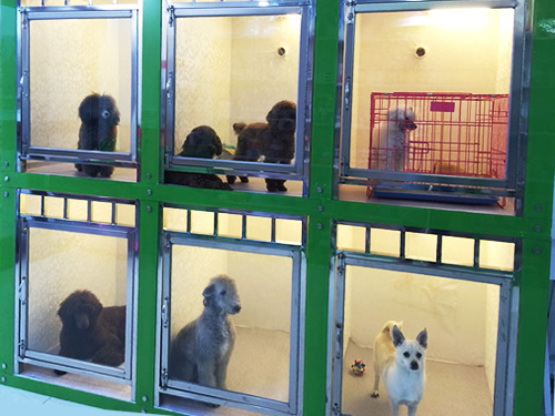 ʥ�輪���к��������������