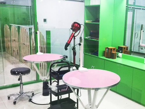 �˱��������ò���