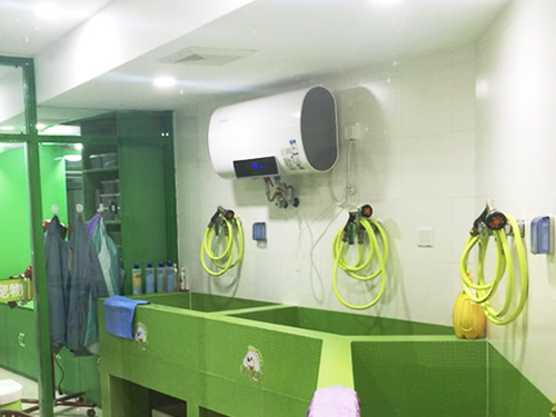 �˱��������ò���