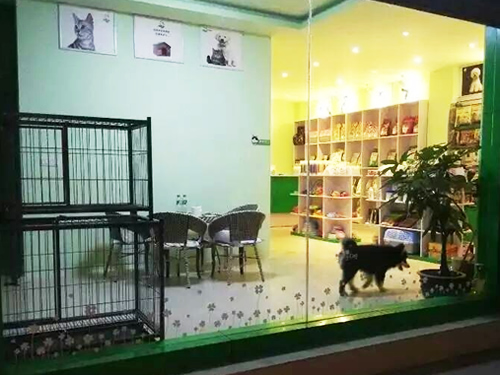 �����ϻ￪�����ע������