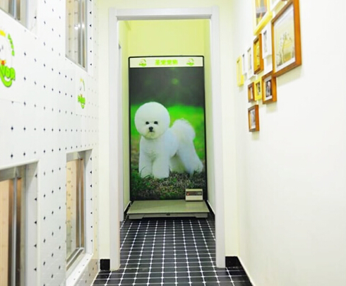 ���ּ��˿��������ô��