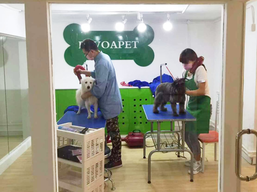 �������˿���������Ǯ