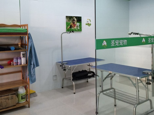 ��˳����������ļҺ�