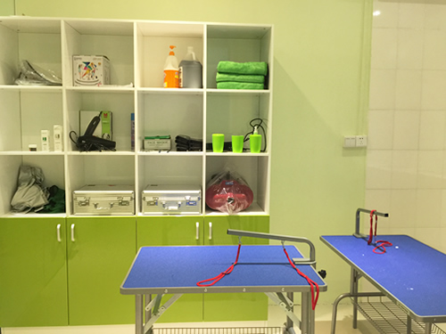 ��������������Ҫʲô