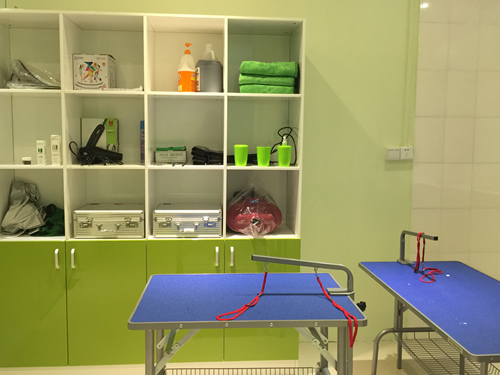 ���������׬Ǯ��