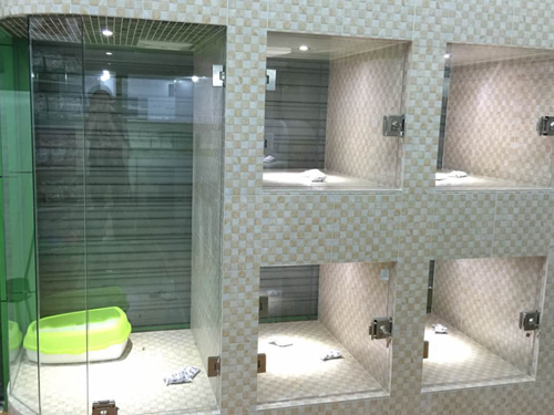 ���ҳ����׬Ǯ��