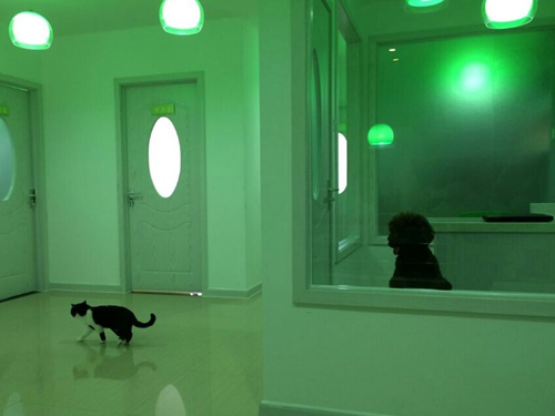 �������׬Ǯô