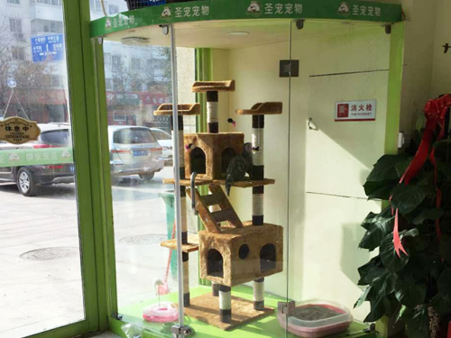 ʥ�����֣�ݰ�ׯ����������