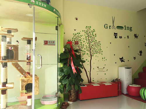 ʥ�����֣�ݰ�ׯ����������