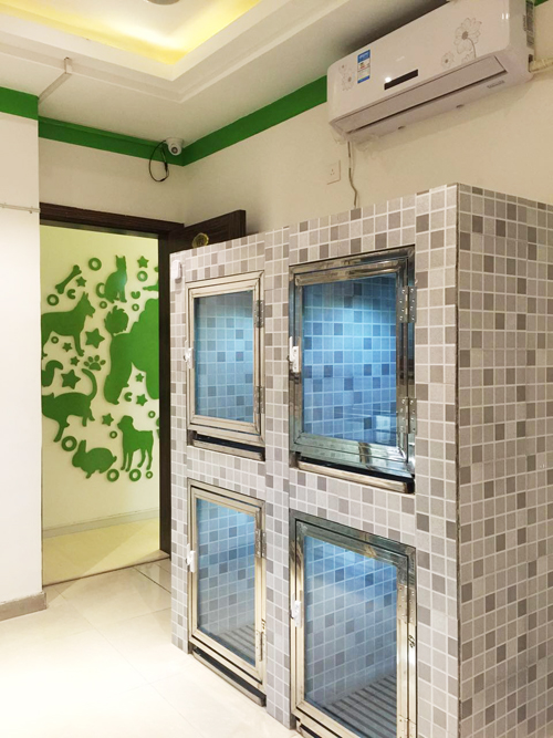 圣宠宠物上海浦东金桥店寄养