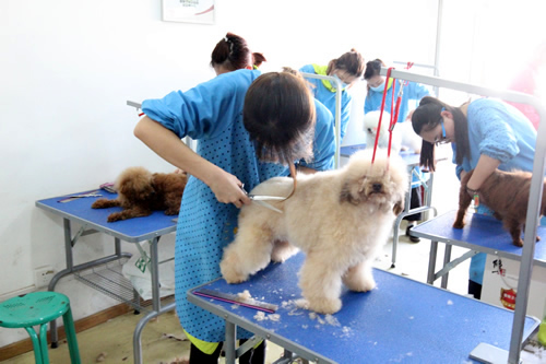 圣宠36期美容班综合实操课