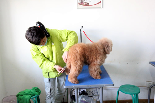 圣宠36期美容班综合实操课