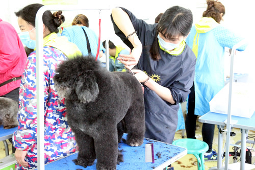 圣宠36期美容班综合实操课