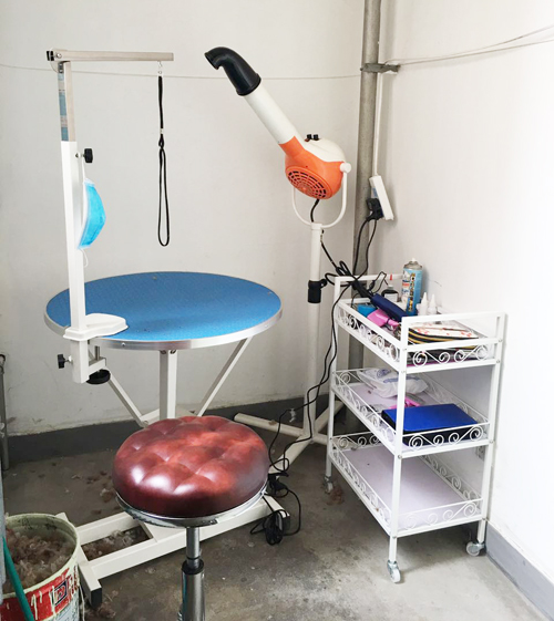 圣宠宠物店(北京海淀交大东路店)