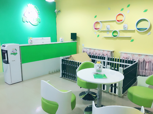 圣宠宠物辽阳文圣三义小区店