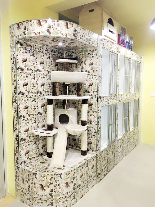 圣宠宠物辽阳文圣三义小区店