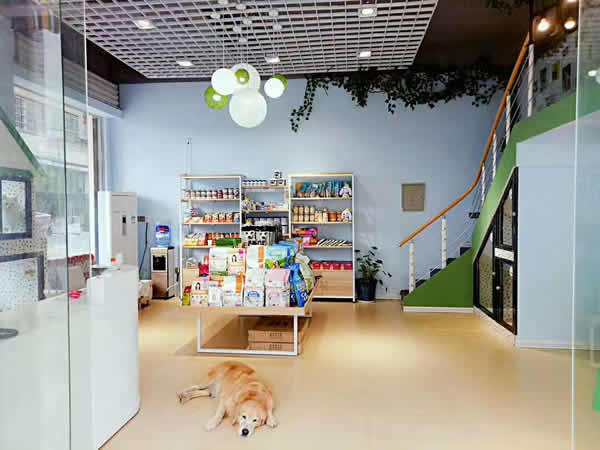 ���������Ҫ����������