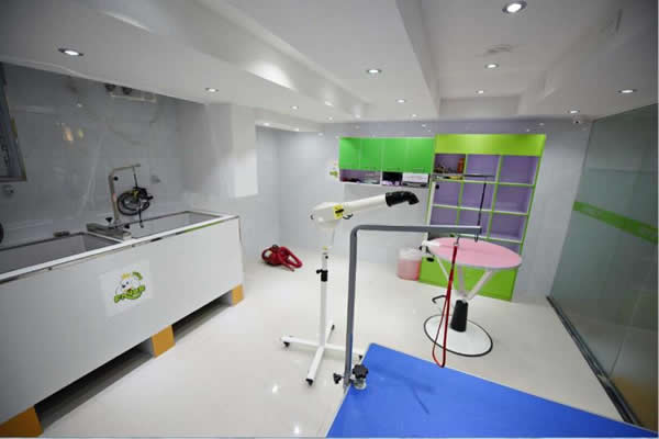 �����������󵽵���ô��