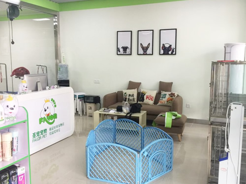 ���ݿ������Ҫ�����ʽ�